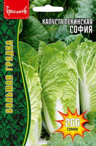 Капуста (пекинская) София купить