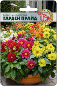 Георгины компактные Гарден Прайд купить