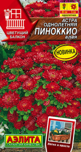 Астра Пиноккио алая /Цветущий балкон купить