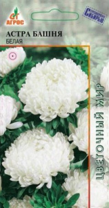 Астра Башня Белая  купить