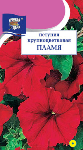 Петуния Пламя  купить