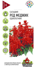 Сальвия Ред Меджик купить
