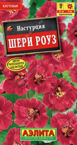 Настурция Шери Роуз  купить