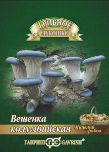 Вешенка Колумбийская на древесной палочке  купить