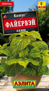 Колеус Файервэй еллоу купить