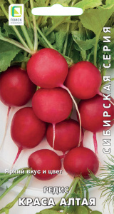 Редис Краса Алтая купить