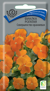 Фиалка Совершенство оранжевая рогатая купить
