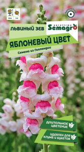 Львиный зев Яблоневый цвет купить