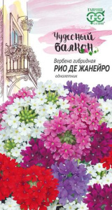 Вербена Рио де Жанейро  купить