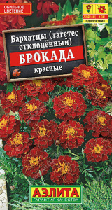 Бархатцы Брокада красные купить