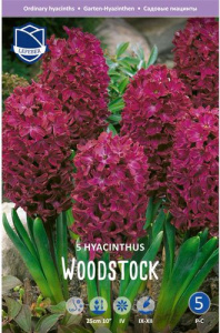 Гиацинт Вудсток /5шт купить