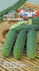 Огурец Бетховен F1  купить