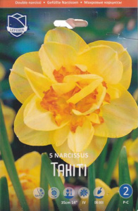 Нарцисс махровый "Tahiti" (1х5шт) купить
