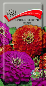 Цинния Мистерия изящная купить