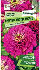 Цинния изящная Супер Йога Роуз  купить