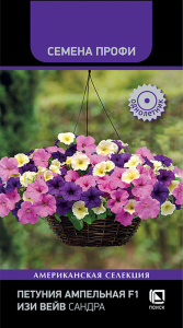 Петуния Изи вейв F1 Сандра ампельная  купить