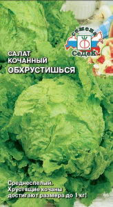 Салат Обхрустишься кочанный купить