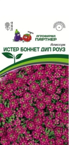 Алиссум Истер Боннет Дип Роуз  морской купить