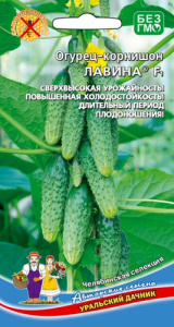 Огурец Лавина F1  купить