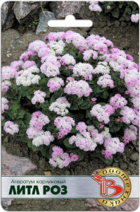 Агератум карликовый Литл Роз купить