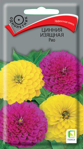 Цинния Рио изящная купить