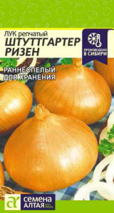 Лук (репчатый) Штутгартер Ризен  купить