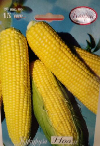 Кукуруза Ноа F1 /1шт купить