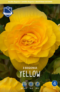 Бегония махровая XXL Double YELLOW /3шт купить