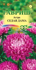 Астра Седая дама  купить
