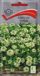 Алиссум Лимонад купить
