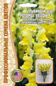 Львиный Зев Potomac Yellow F1 купить