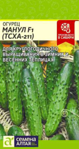 Огурец Манул (ТСХА-211) F1  купить