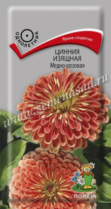 Цинния изящная Медно-розовая купить