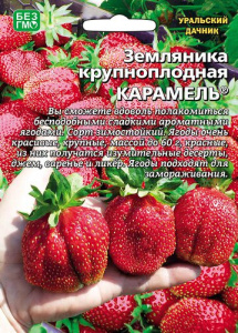 Земляника Карамель - крупноплодная  купить