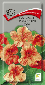 Настурция низкорослая Везувий купить