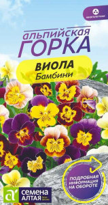 Виола Бамбини купить