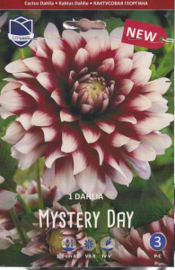 Георгина декоративная Mystery Day /1шт купить