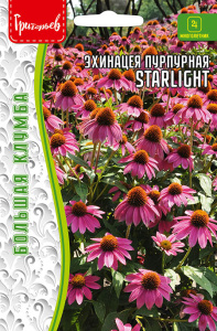 Эхинацея Starlight пурпурная купить