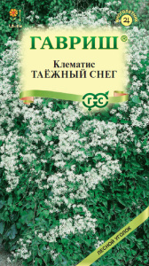 Клематис маньчжурский Таежный снег  купить