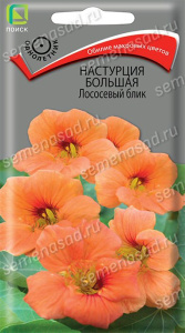 Настурция большая Лососевый блик купить
