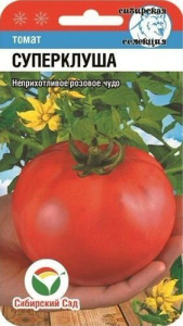 Томат Суперклуша  купить