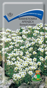 Камнеломка Арендса Белый ковер купить