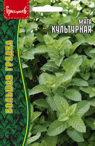 Мята Культурная купить