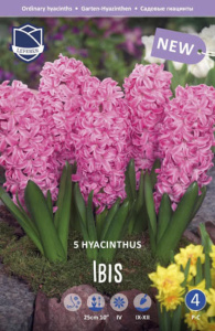 Гиацинт Ибис /5шт купить