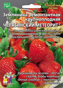 Земляника Челябинский метеорит - ремонтантная купить
