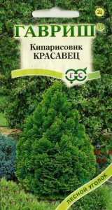 Кипарисовик тупой Красавец  купить