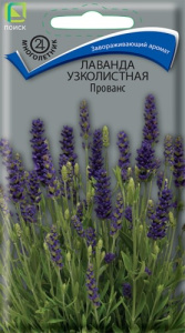 Лаванда узколистная Прованс  купить