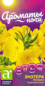 Энотера Ламарка Королева ночи  купить