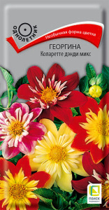 Георгина Коларетте дэнди микс купить