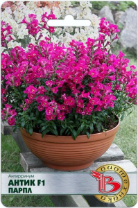 Антирринум Антик F1 Парпл купить